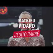 Putain, les abeilles ! L'Edito carré de Mathieu Vidard