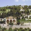 Mont des Oliviers / Mount of Olives (Al Quds)