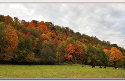 couleurs d'automne en savoie