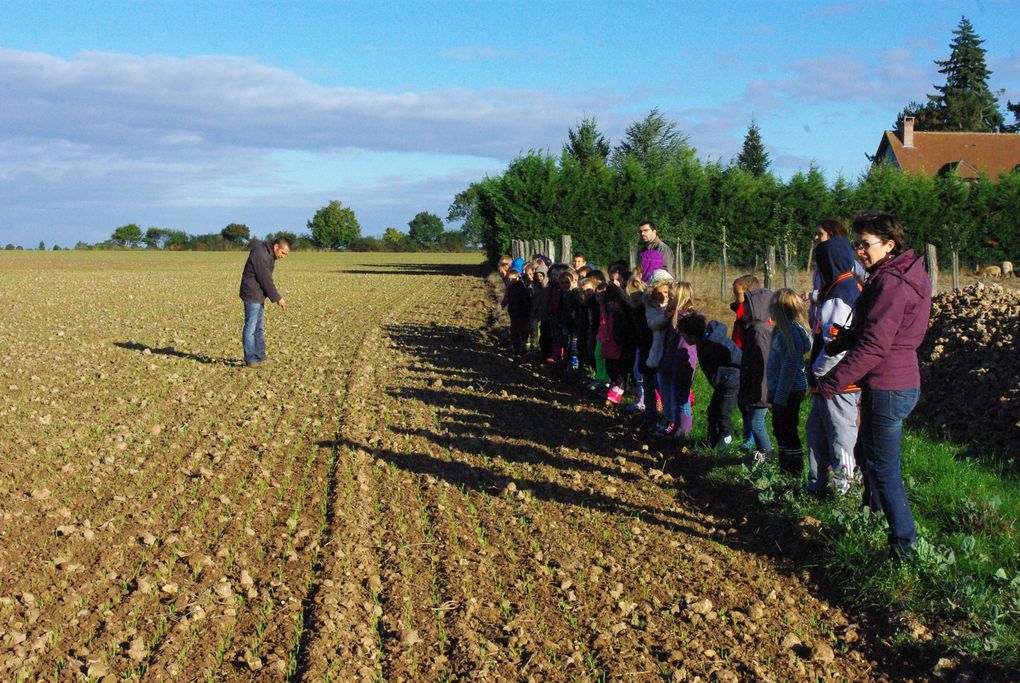 Visite de la ferme