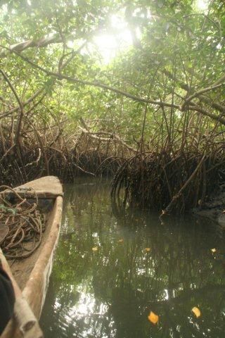 Album - casamance-senegal