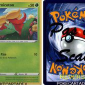 SERIE/EPEE&amp;BOUCLIER/EVOLUTION CELESTE/11-20/15/203 - pokecartadex.over-blog.com