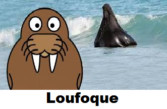 « Brèves de décrottoir »