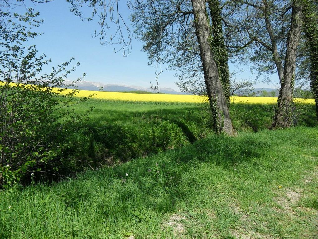 les images du sentier et affiche