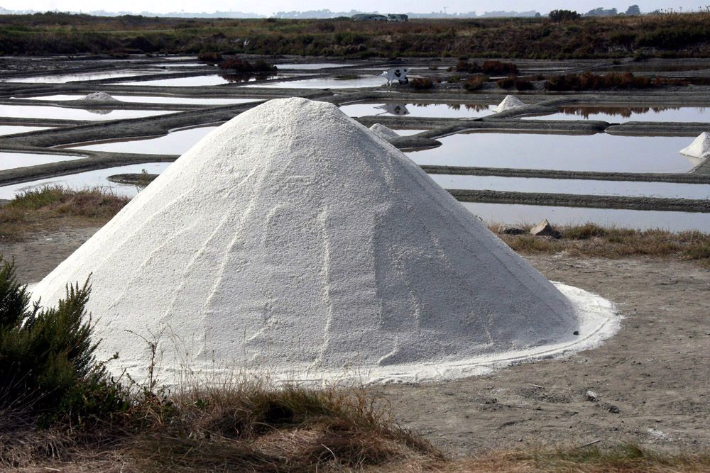 Album - Les Marais-salants de Guerande