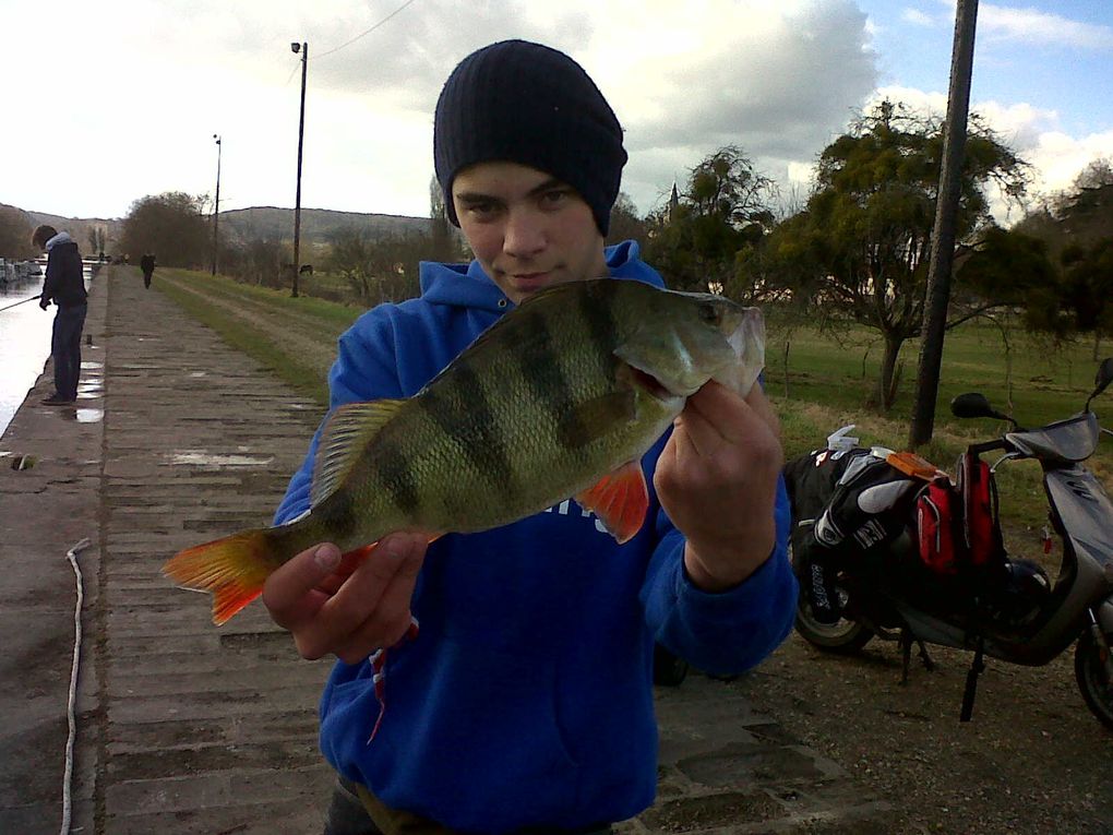 2012 est déja commencer et les fish ne tardent pas à montrer leurs nageoires