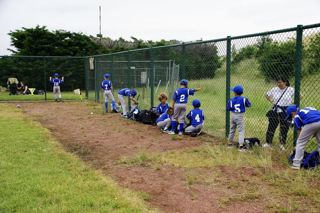U9 - Tigers vs Cougars et French Cubs