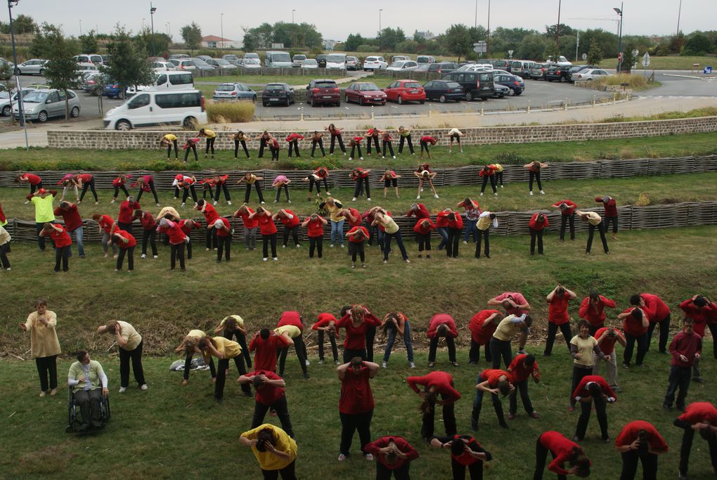 Album - FLASHMOB-2012