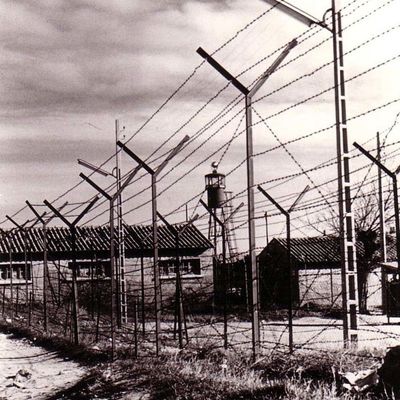 Mobilisation le 19 avril 2025 à 14 h. au camp de Saint-Maurice-l'Ardoise (30)