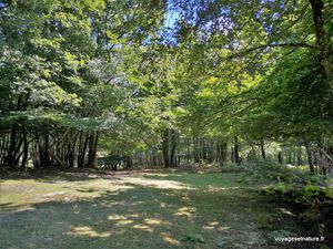 Le parc naturel de Chambaran (38)