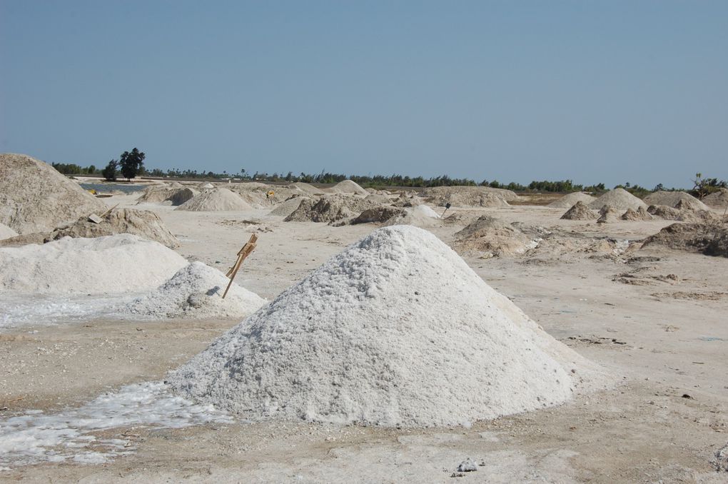 L'album de notre voyage au Sénégal en janvier 2014, le premier mais nous espérons qu'il y en aura d'autres tant ce pays est attachant.