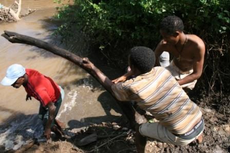 Awash National Park, Rift Valley, East Ethiopia. Fauna and Flora around the park and the Awash river.