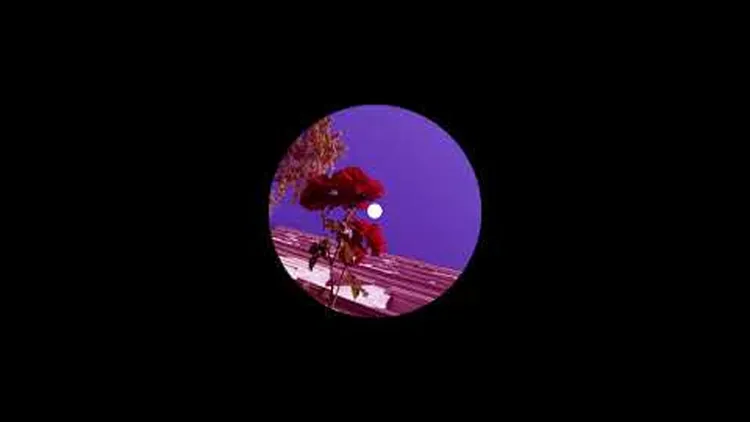 Studioheist - Everyday