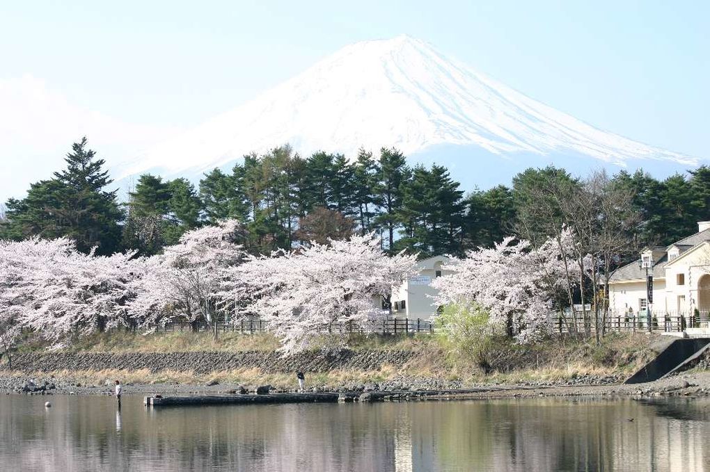 Fin du voyage, Tokyo, Mikimoto