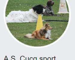 SPORT CANIN A CUCQ