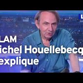 Michel Houellebecq, invité exceptionnel de David Pujadas