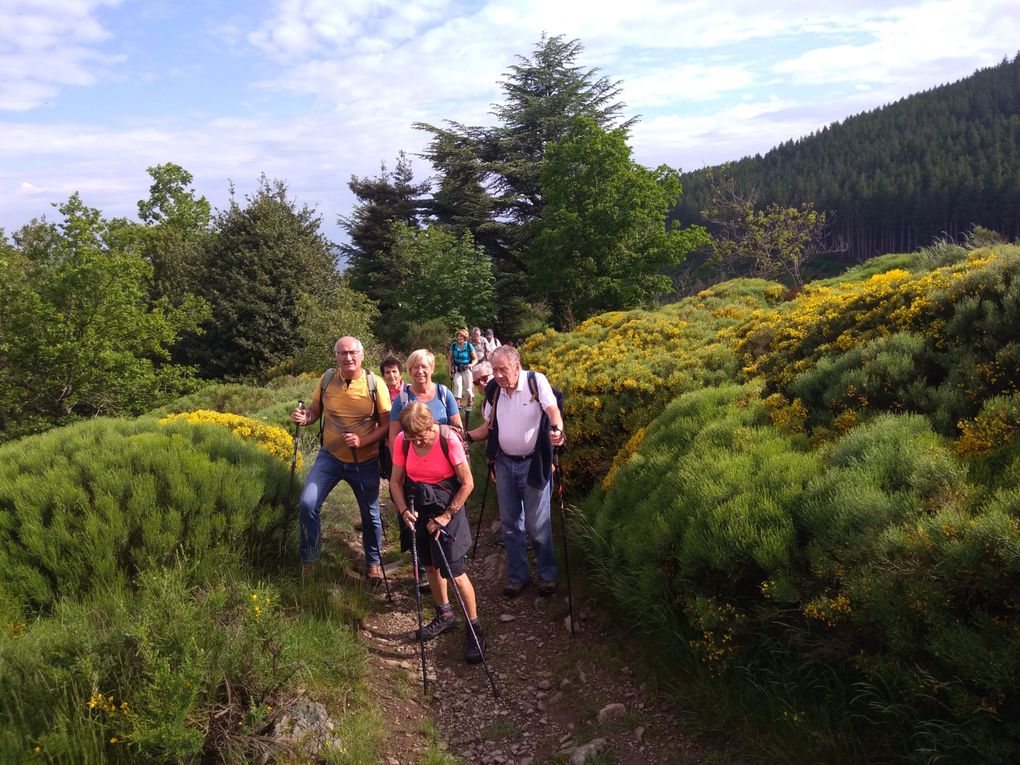 RANDO du 4 Juin 2023 à Rochetaillée 42 (Le Gouffre d'Enfer) 