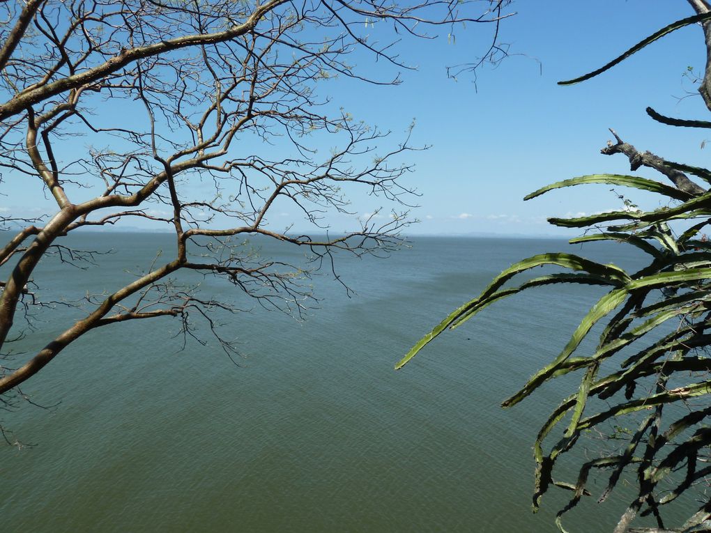 Une semaine sur l'île d'Ometepe du 15 au 22 avril 2011.
L'île d'Ometepe située sur le lac de Nicaragua est la plus grande île entourée d’eau douce du monde. Elle est constituée de deux volcans: Conception (1610m) et Maderas (1394m). Nous avon