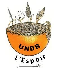 Tchad: conférence de presse des alliés de l'UNDR