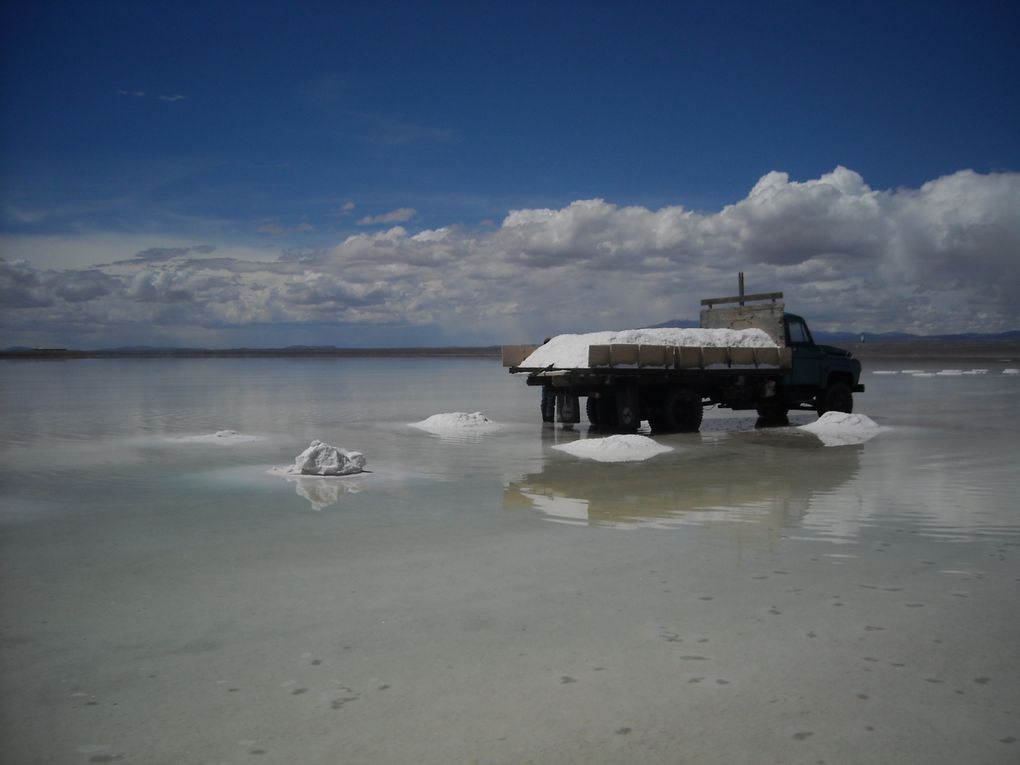 Album - SALAR-UYUNI---BOLIVIA