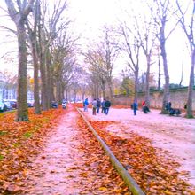 La partie de pétanque à Versailles