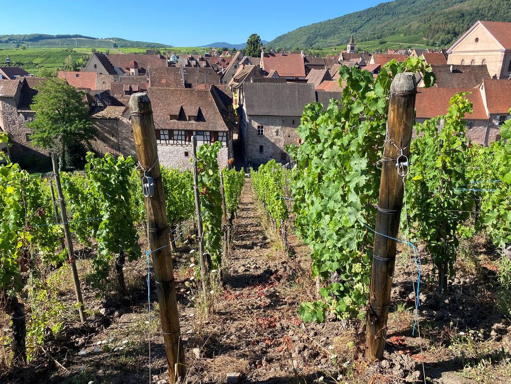 RIQUEWIHR en Alsace 