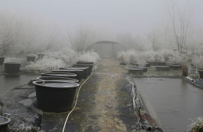 Repos hivernal et nouveau départ