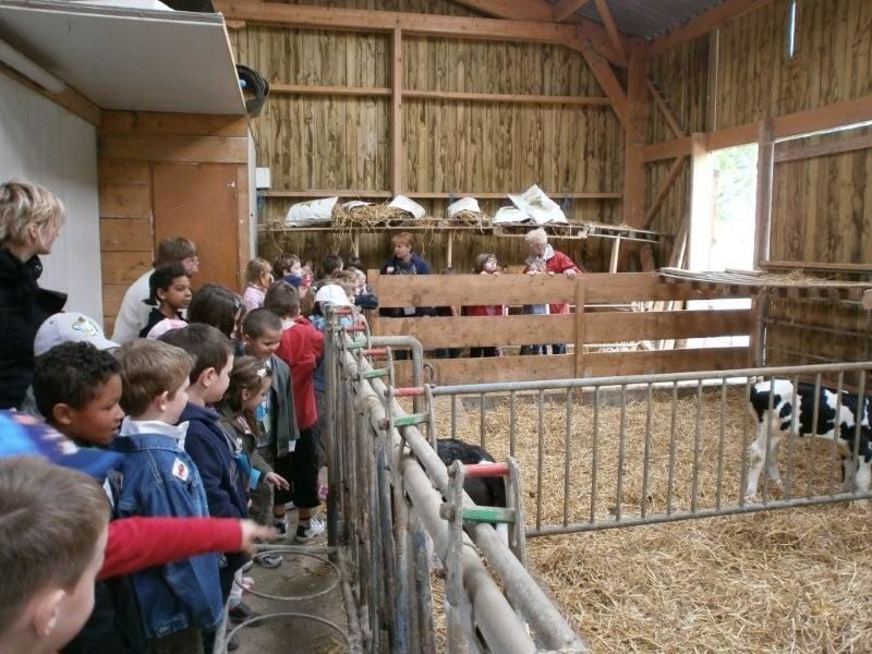 Partagez avec nous quelques-unes sorties réalisées cette année : Le bois de Creuse, la ferme d'antan, le parc de Thoiry, le voyage à Canterbury en Angleterre...