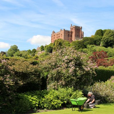 Powis Castle