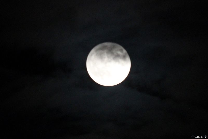 Il est certaines pleines lunes plus exceptionnelles que d'autres. Ce fut le cas de celle du lundi 14 novembre 2016, durant lequel notre satellite a semblé un peu plus gros et plus lumineux qu'à l'ordinaire.