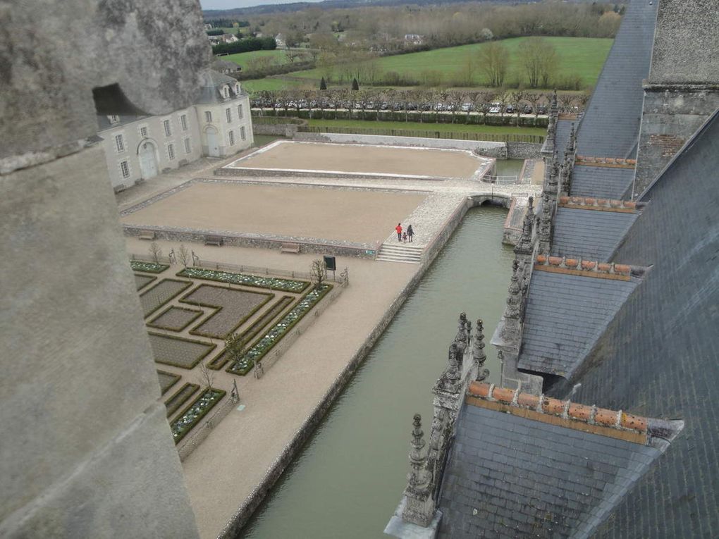 Vous noterez les plants en godets attendant sagement d'être mis en place qu potager.