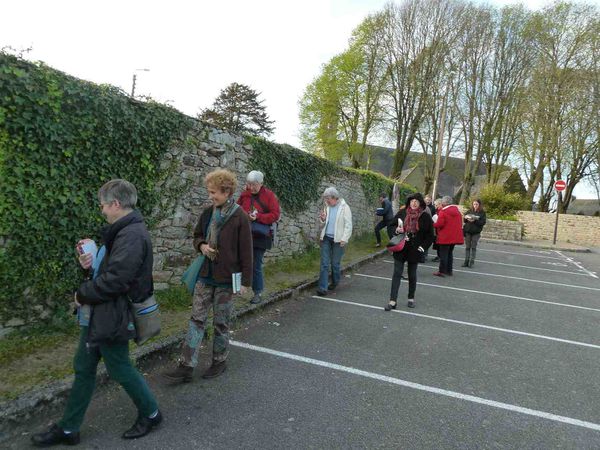 herborisation à Portmanec'h ou  lèche-vitrine botanique dans les rues de Quimper !