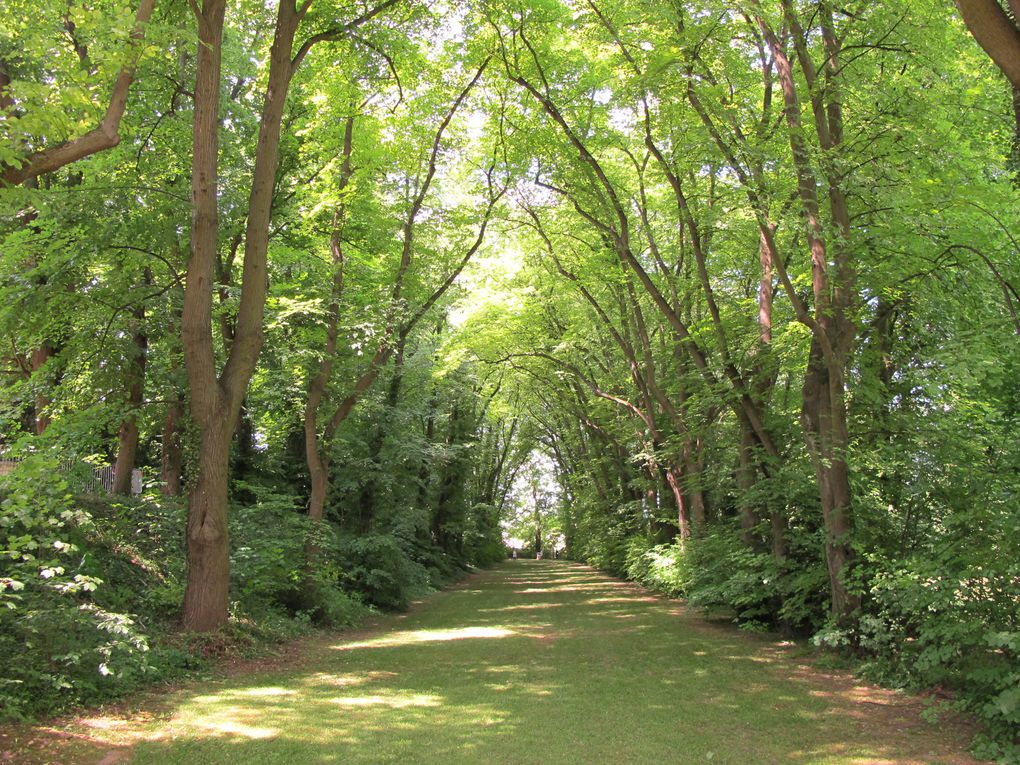 Album - Journée Cultures aux Jardins de Pontoise