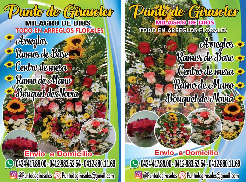 "Punto de Girasoles Milagro de Dios" ofrece variedad de flores al mayor y detal para la Navidad en el Trigal Norte (Publicidad)