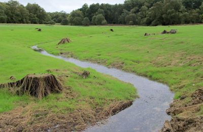 Une jolie petite rivière