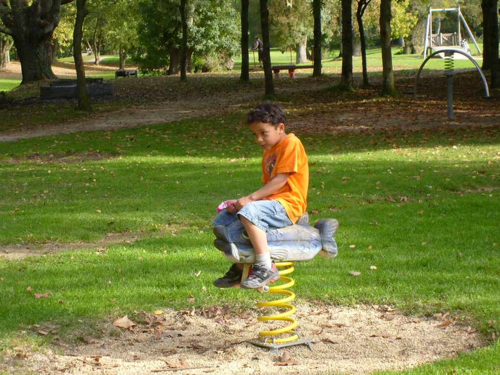 Album - Au parc de l'ile de Nantes