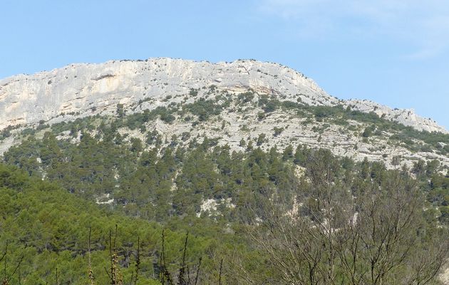 Dentelles de Montmirail Vaucluse (84)