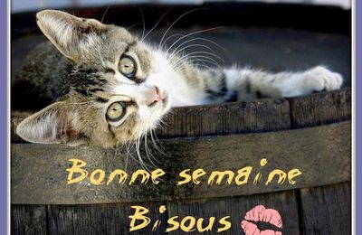 Images Animees Bon Lundi Balades Comtoises