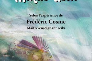 Mon livre arrive à la boutique.