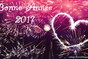 bonne année 2017