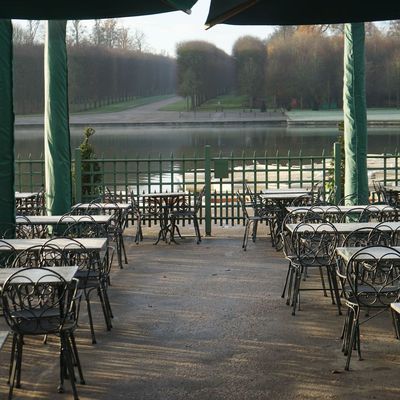 Déjeuner sur l'eau.