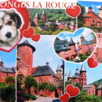 MERCI Ecureuilbleu !