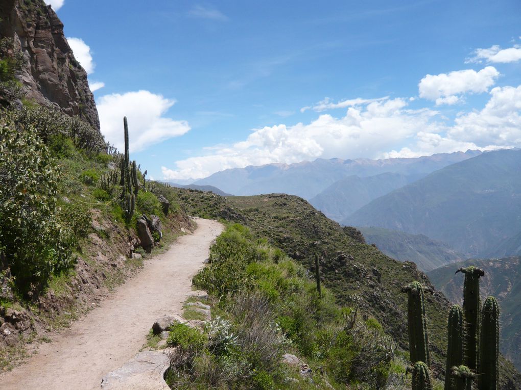 Album - arequipa