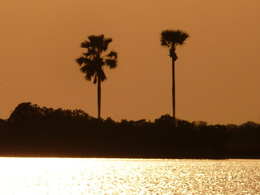 Les meilleurs clichés de Casamance.