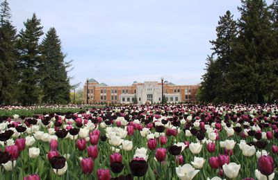 Jardin botanique de Montréal, toute la richesse de la flore nord-américaine