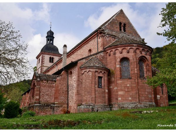 L'abbatiale Saint Jean Baptiste à Saint-Jean-Saverne (67) !