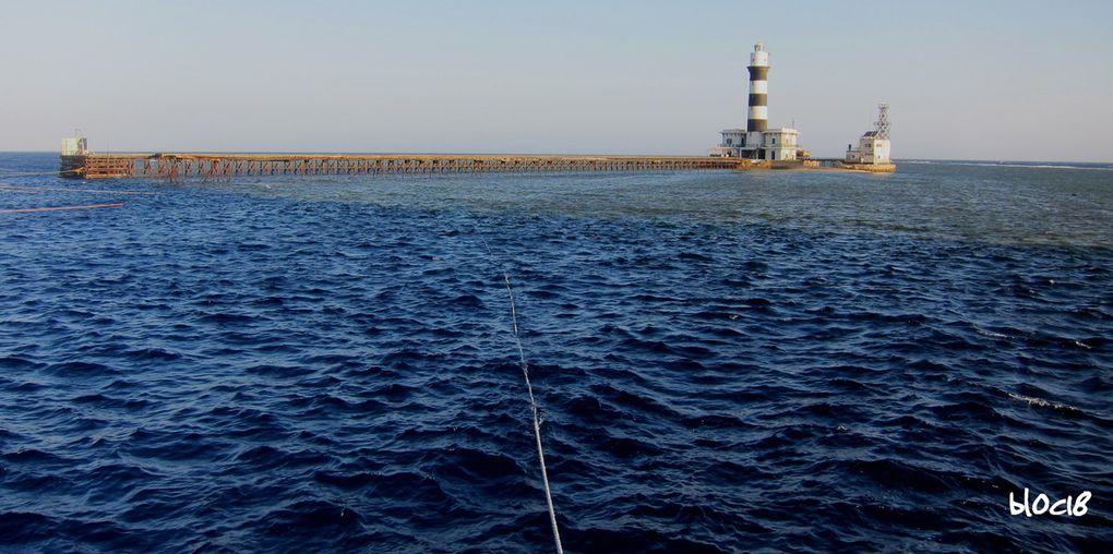 CROISIERE BDE, du 4 au 11 juin 2011 - L'ALBUM