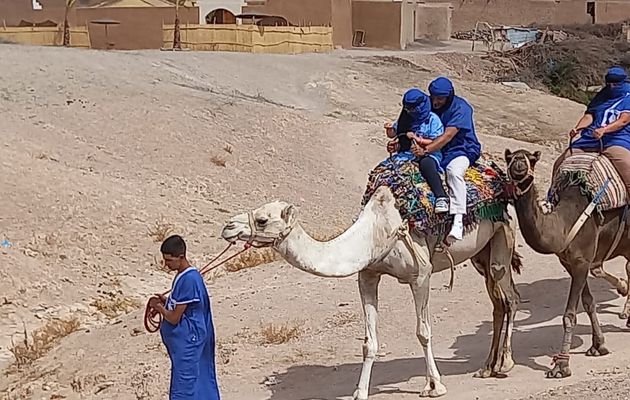 Excursion Marrakech