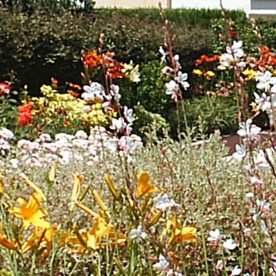 REALISATION D'UN JARDIN PAYSAGER PERSONNEL