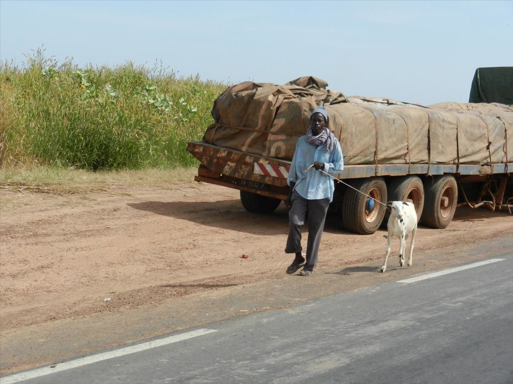 Album - Sud est du senegal